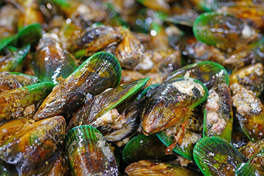 Green Lipped Mussel Joint Supplement
