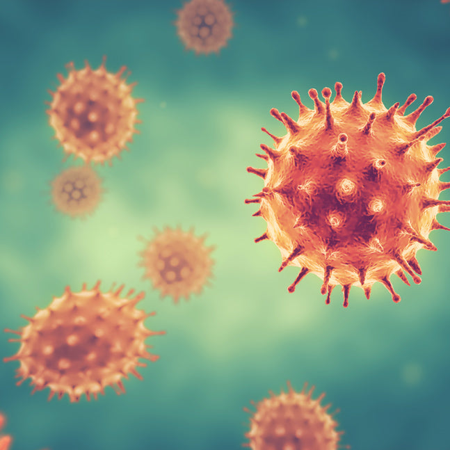 Boost Your Immunity