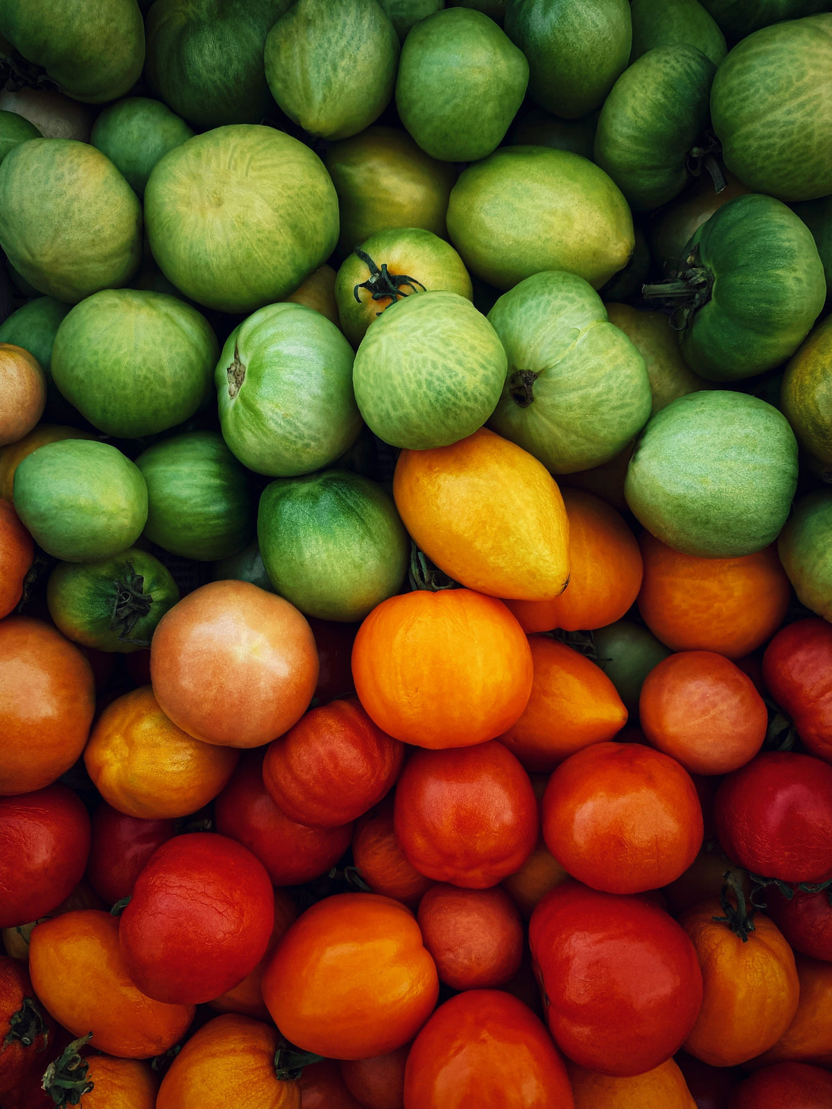Boost Your Immunity