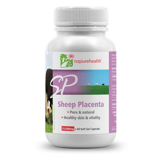 Sheep Placenta